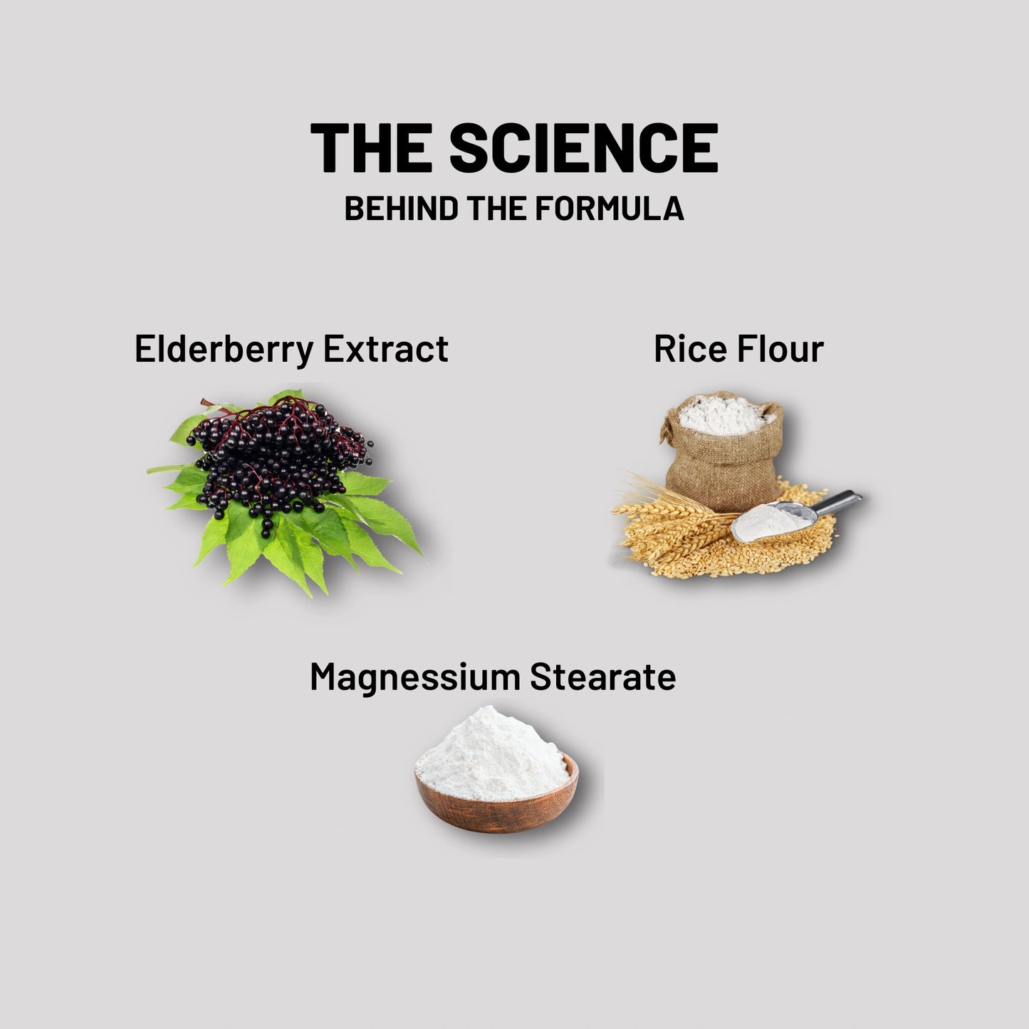 Elderberry