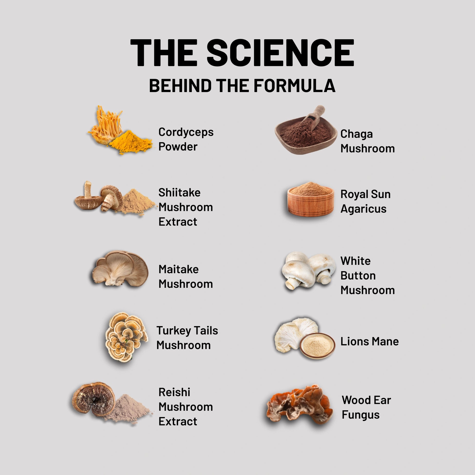 10 different types of mushrooms