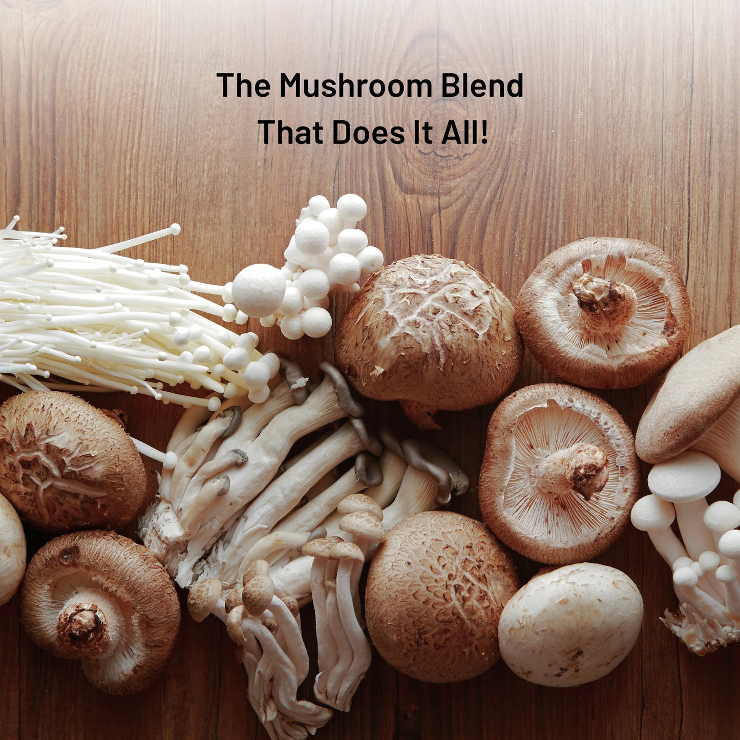 Fungi Fuel