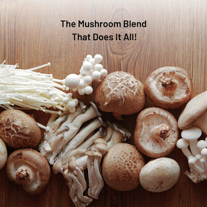 Fungi Fuel