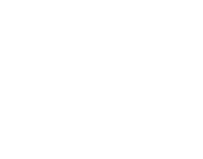 Brand 1 Feature