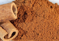 Cinnamon Bark Extract (Cinnamomum cassia)