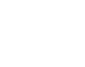 Brand 1 Feature