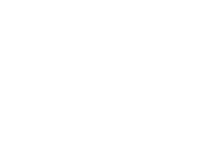 Brand 1 Feature